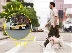 Pasear perritos sería una solución para pagar tus multas. Foto: Getty
