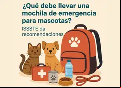 ¿Tienes mascotas? Esto es lo que debe llevar su mochila de emergencia, según el ISSSTE | Foto: ChatGPT