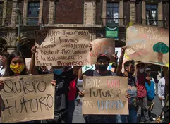 Oaxaca ocupa el primer lugar, seguido por Chiapas, Michoacán, Puebla y Veracruz.