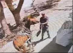 Caballo maltratado