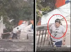 Maltrato y abusos a perritos 