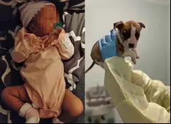 Cachorrita es sacrificada tras muerte de bebé recién nacida pero el forense revela algo inquietante 