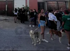 Esqueletos y perritos en los huesos, VIDEO desgarrador del caso SLP