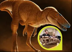 Hallan 'eslabón perdido' en evolución del Tiranosaurio Rex 
