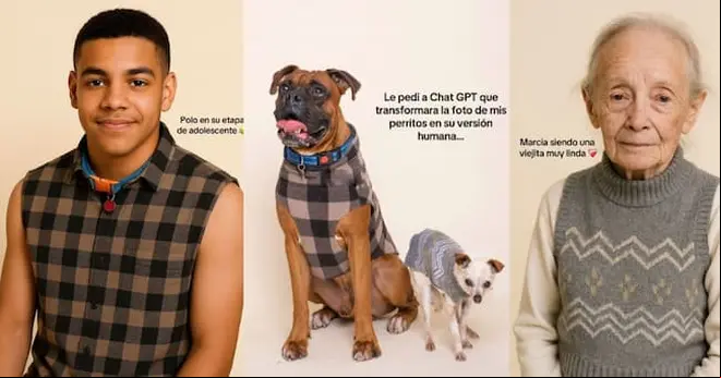 Imagen intermedia