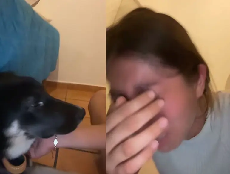 Joven no puede contener el llanto al pedir ayuda para salvar a su perrito de moquillo