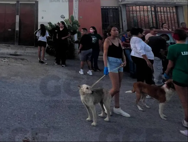 Rescate de perritos desnutridos, otros murieron de hambre en SLP